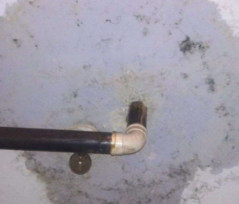 青县卫生间防水哪家好