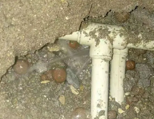 青县卫生间测漏