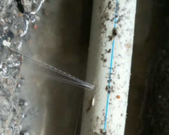青县卫生间测漏水多少钱