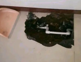 青县卫生间测漏水多少钱